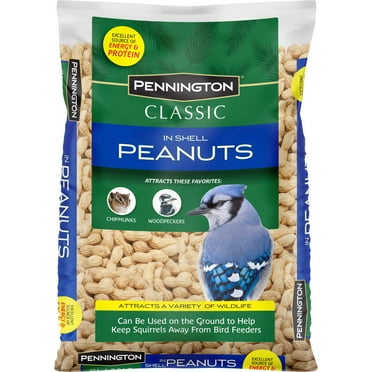 Pennington In Shell Peanuts Wildlife and Wild Bird Food, 5 lb. Bag, Dry, 1 Pack