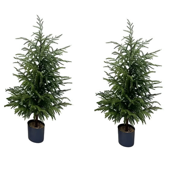 BESTSKY Norfolk Pine Christmas Tree 48"/32In-Real Touch Artificial Norfolk Pine Tree Table Top Christmas Trees,Versatile Christmas Decoration for Indoor&Outdoor(31In-2Pc)