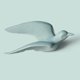 thumbnail image 4 of Resina 3D de gaviota Arte de pared Escultura Decoración Sunnimix Colgante 3D Gaviota voladora, 4 of 8