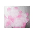 thumbnail image 4 of Girls Dress White Pink Flower Wedding Bridesmaid Christmas Holiday Kids 2-3, 4 of 9