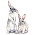 thumbnail image 1 of Bewildely Pegatinas de pared para dormitorio, decoración única y encantadora para el hogar, pegatinas de pared de conejitos, calcomanías de Decoración del hogar, 1 of 6