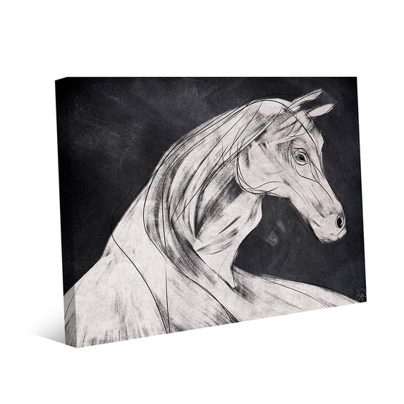 Black and White Horse|20" x 24" Canvas wall art