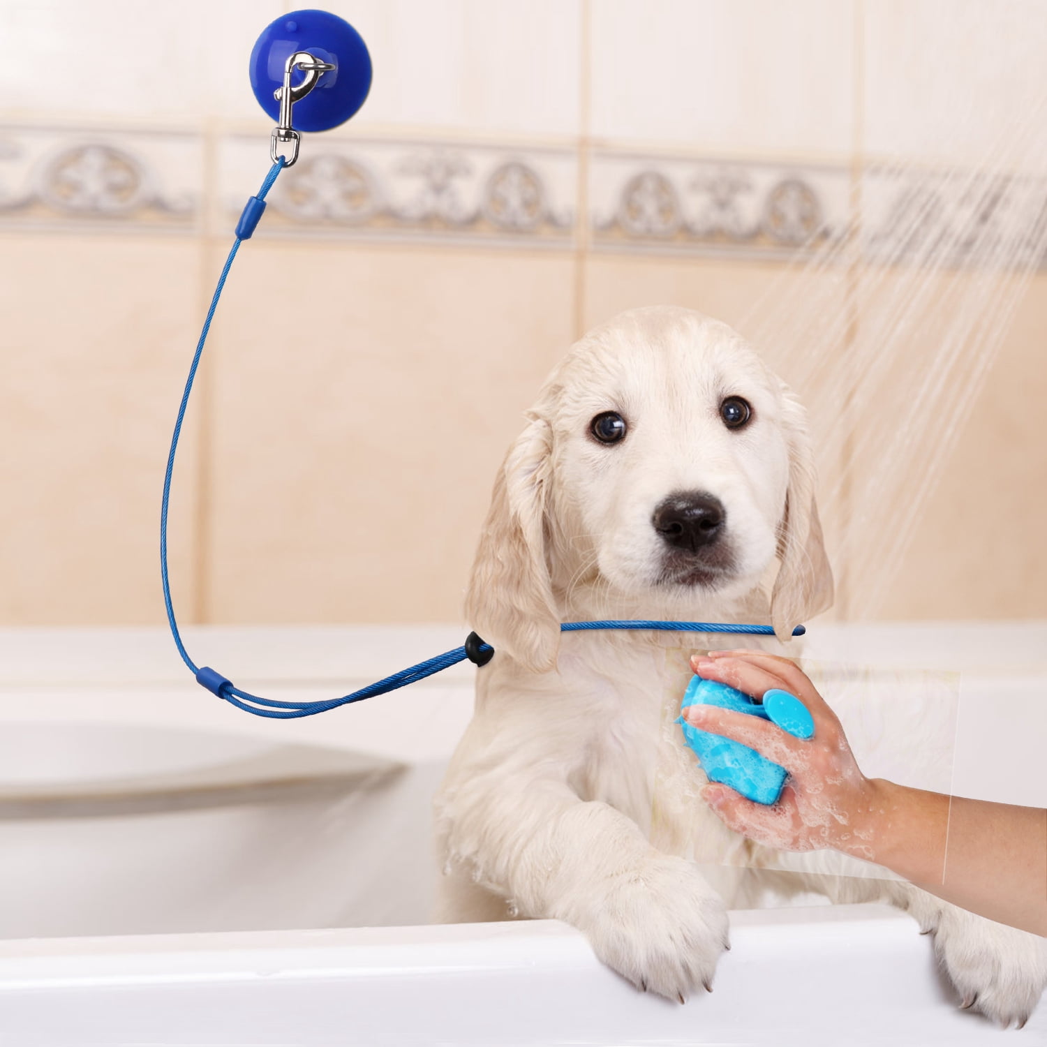 Petbobi Dog Bathing Tether and Silicone Suction Cup Dog Restraint for Pet Shower and Grooming