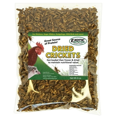 Exotic Nutrition Dried Cricket 8oz