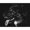 thumbnail image 2 of Chapman, Julie T. 32x26 Black Ornate Wood Framed with Double Matting Museum Art Print Titled - Canine Scratchboard XIV, 2 of 4