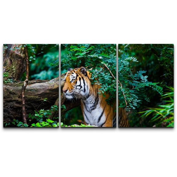 wall26 - 3 Piece Canvas Wall Art - Tiger - Modern Home Art Stretched and Framed Ready to Hang - 16"x24"x3 Panels