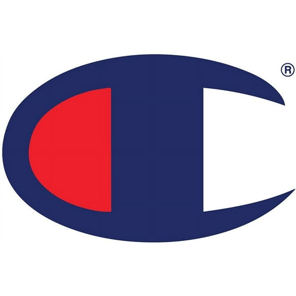 Champion Hoodies For Men, Big And Tall Mens Pullover Fleece Hoodies For Men Heather Grey