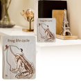 thumbnail image 2 of Wooden Animal Life Cycle Puzzle Toy Growth Tray Desktop Ornament, 2 of 2