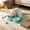 Blue, variant on Cififendec 2-In-1 Pet Feeder Stainless Steel Bowl, 10.24"×6.5", Auto Refill Water Food Dish for Living Room Daily Feeding Window Counter Meals