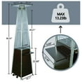 Patio Heater 48,000 BTU Pyramid Flame Patio heater with Cover,Outdoor