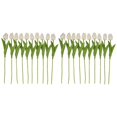 thumbnail image 3 of 20 Piezas Blancas 13.8 Pulgadas Flores de Tulipanes Artificiales para la DecoracióN Del Partido, Hogar Boda, 3 of 11
