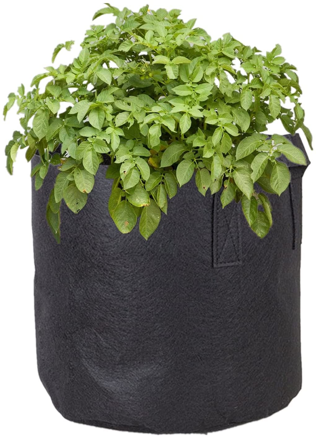 BINARY BARN Grow Bags Set, 5 Gallon 4 Pack Planting Pots Various Usage for  Tomatoes, Cucumbers, Potatoes, Beans and Flowers, Black Planter Bags 