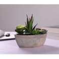 thumbnail image 2 of Artificial Succulent Dark Green Boat Shape, Simulation Plant Art Plant Fake Bonsa, 2 of 5