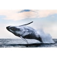 thumbnail image 3 of Safonov, Alexander 24x17 Black Modern Framed Museum Art Print Titled - Breach, 3 of 5