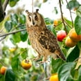 thumbnail image 3 of Orangide Hanging Owl Bird Repellent Decoration, Scarecrow Pendant Wind Chime for Garden, Effective Outdoor Deterrent for Farm Orchard Protector, 3 of 7