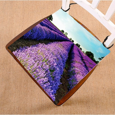 

YKCG Fall Nature Landscape Composition Hyacinth Fields Seat Cushion Chair Cushion Floor Cushion Twin Sides 20x20 inches