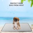 thumbnail image 1 of Estera De Enfriamiento Comfort Pets Cama Fresca Estera Para Dormir Para Perros Y Gatos-m, 1 of 4
