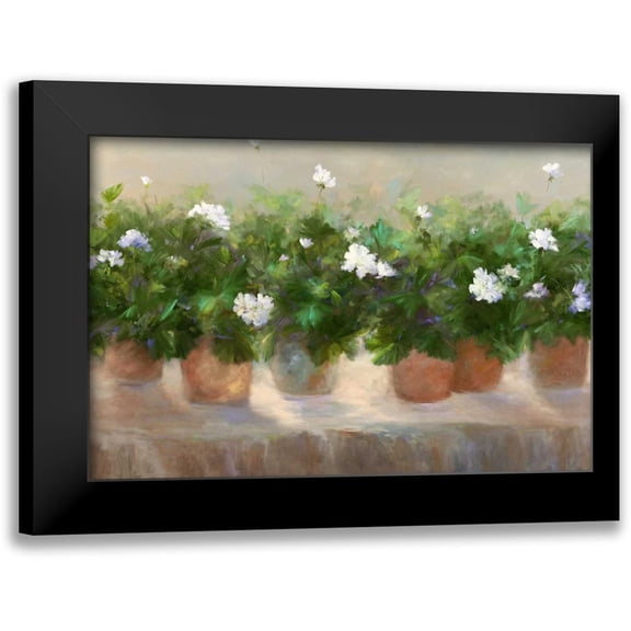 Finch, Sheila 14x11 Black Modern Framed Museum Art Print Titled - White Geraniums