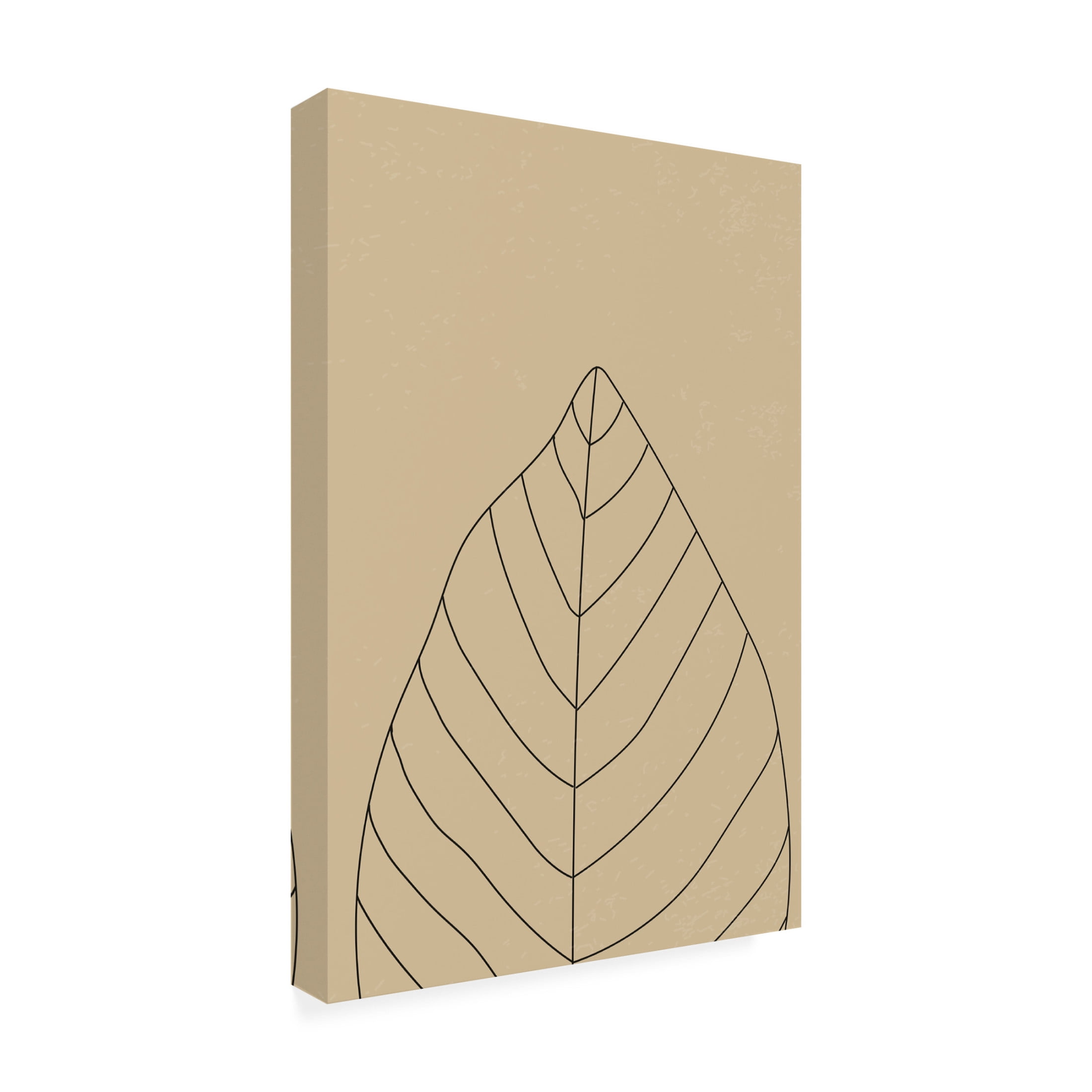 Trademark Fine Art jay stanley Minimal Leaves 1 Canvas Wall Art