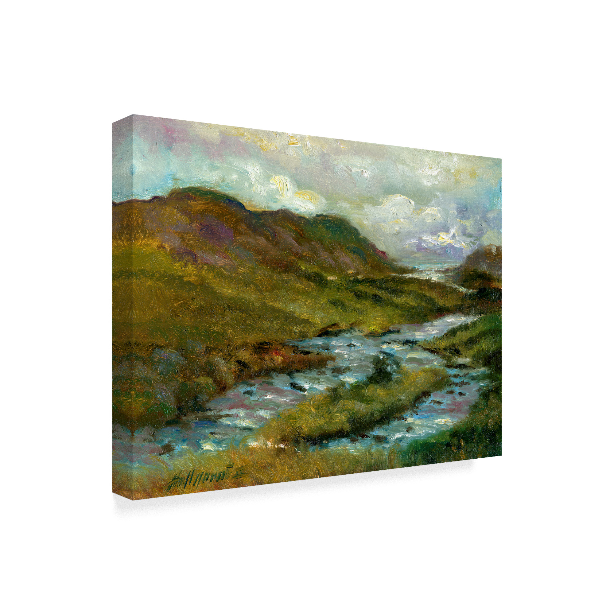 Trademark Fine Art 'Ring Of Kerry, Ireland 2' Canvas Art by Hall Groat Ii