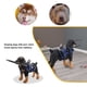 thumbnail image 4 of Dispositivo de Guía de Protectores de Parachoques de Anillo Anticolisión para Mascotas para Perros Ciegos, Tira de Aluminio Cómoda y Segura, Esponja SBR, 4 of 7