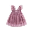 thumbnail image 1 of xiaxaixu Robe d'Été Décontractée pour Filles Tout-Petits Manches Courtes Imprimé à Pois Papillon Décor Tulle Robe, 1 of 7