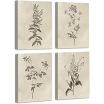 Botanical Plant Wall Art Vintage Flower Prints Boho Floral Artwork Decor Mid Century Modern Wall Art for Bedroom Living Room Bathroom Home or Office 8"x10",Set of 4,𝗙𝗿𝗮𝗺𝗲𝗱
