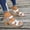 Silver, variant on Miluxas Womens Classic Strap Block Heel Sandals, Adjustable Ankle Buckle Open Toe Mid Heels, Lightweight Platform Sandals Silver 5.5(36)