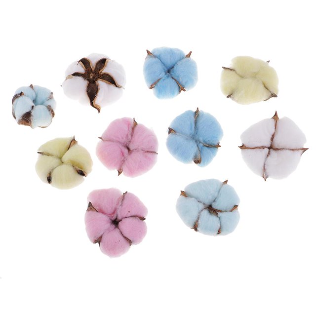 Cápsulas de algodón BLESIY 10 piezas flores secas Decoración
