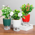 thumbnail image 2 of 1Pc Plant Pot Self Watering Clear Plastic Flowerpot Double-Layer Water Storage Red, 2 of 6