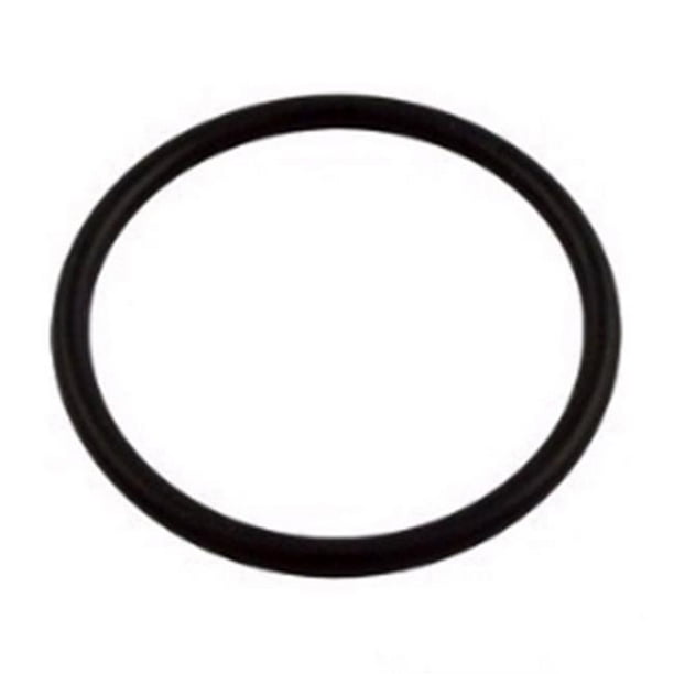 Pentair Bulkhead O Ring Replacement Fns Plus Pool And Spa D E Filter Walmart Com Walmart Com