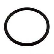 Pentair 59000600 Bulkhead O-Ring Replacement Fns Plus Pool And Spa D.E. Filter