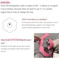 thumbnail image 3 of Collar de recuperación ajustable con forma de flor para gatos, juego de 2 unidades, 3 of 5