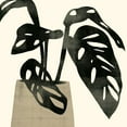 thumbnail image 2 of Barnes, Victoria 26x26 Black Ornate Wood Framed with Double Matting Museum Art Print Titled - Plantling I, 2 of 4