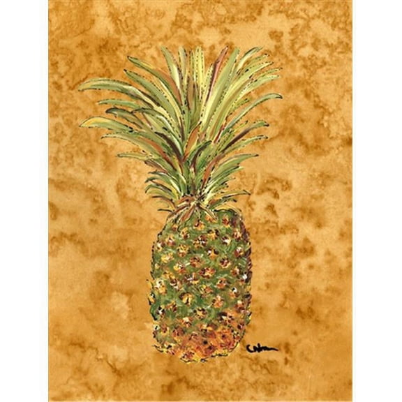 Pineapple Flag Garden Size