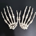 thumbnail image 4 of 2Pcs Halloween Squelette Humain Main Os Partie Hanté Maison Décoration Accessoires une Taille, 4 of 12