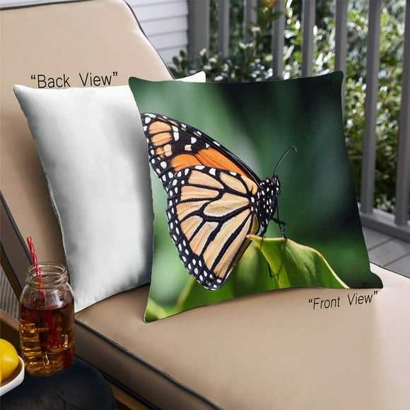 Ahgly Company Insects Butterfly Outdoor Throw Pillow, 18 inch by 18 inch