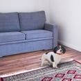 thumbnail image 4 of BrybellyHoldings ACLR-003 Small Adjustable Reflective Dog Collar - Blue, 4 of 7