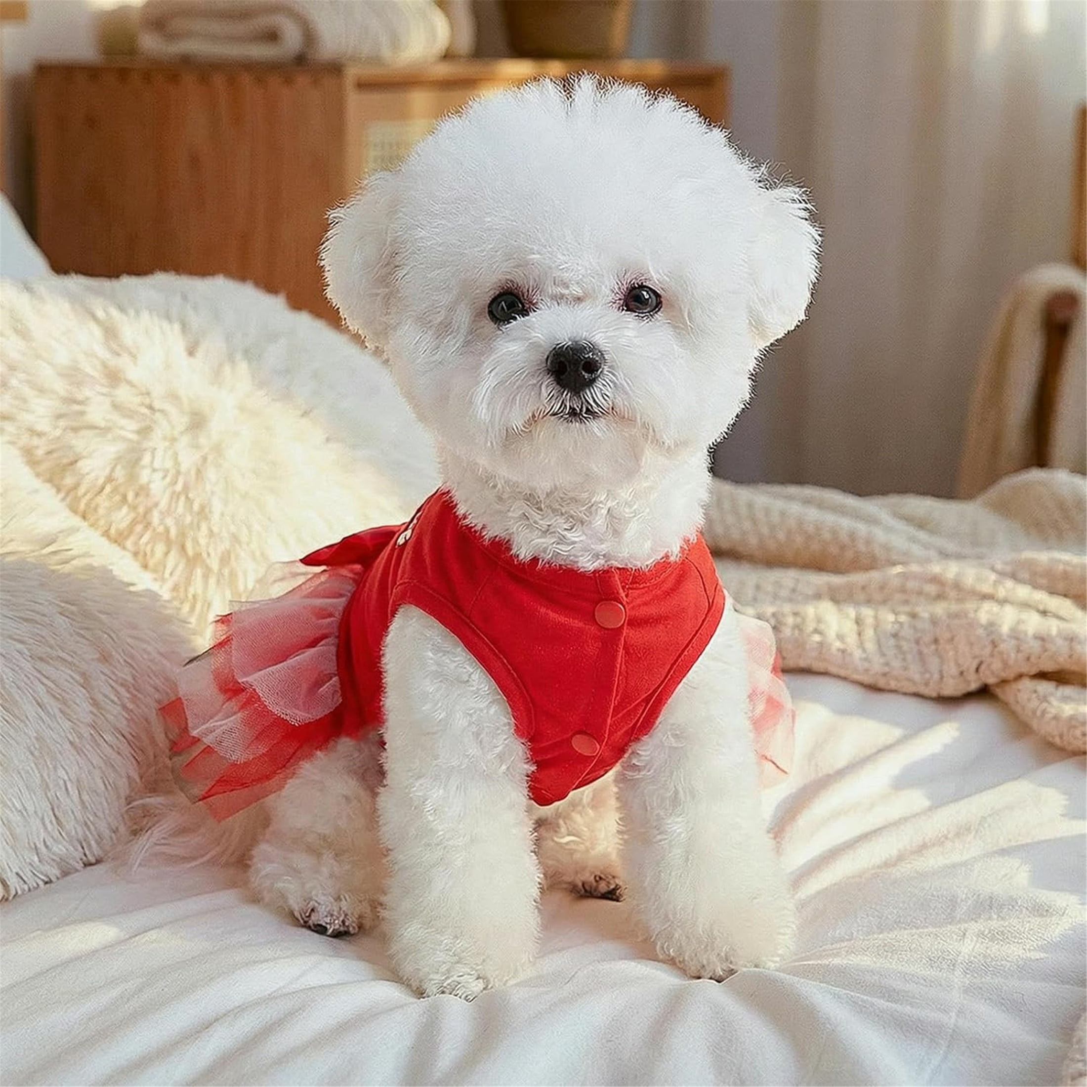 HQREA Red Dog Dresses for Small Dogs Girl Summer Clothes Puppy Cake Skirt Pet Wedding Birthday Outfits for Chihuahua Yorkie