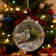 thumbnail image 3 of Adorno de Navidad 3D Transparente Bola de Pájaro | Decoración de árbol colgante hecha a mano | Efecto de globo de nieve con remolino de purpurina, caja de música, exhibición de pájaros realista,, 3 of 4
