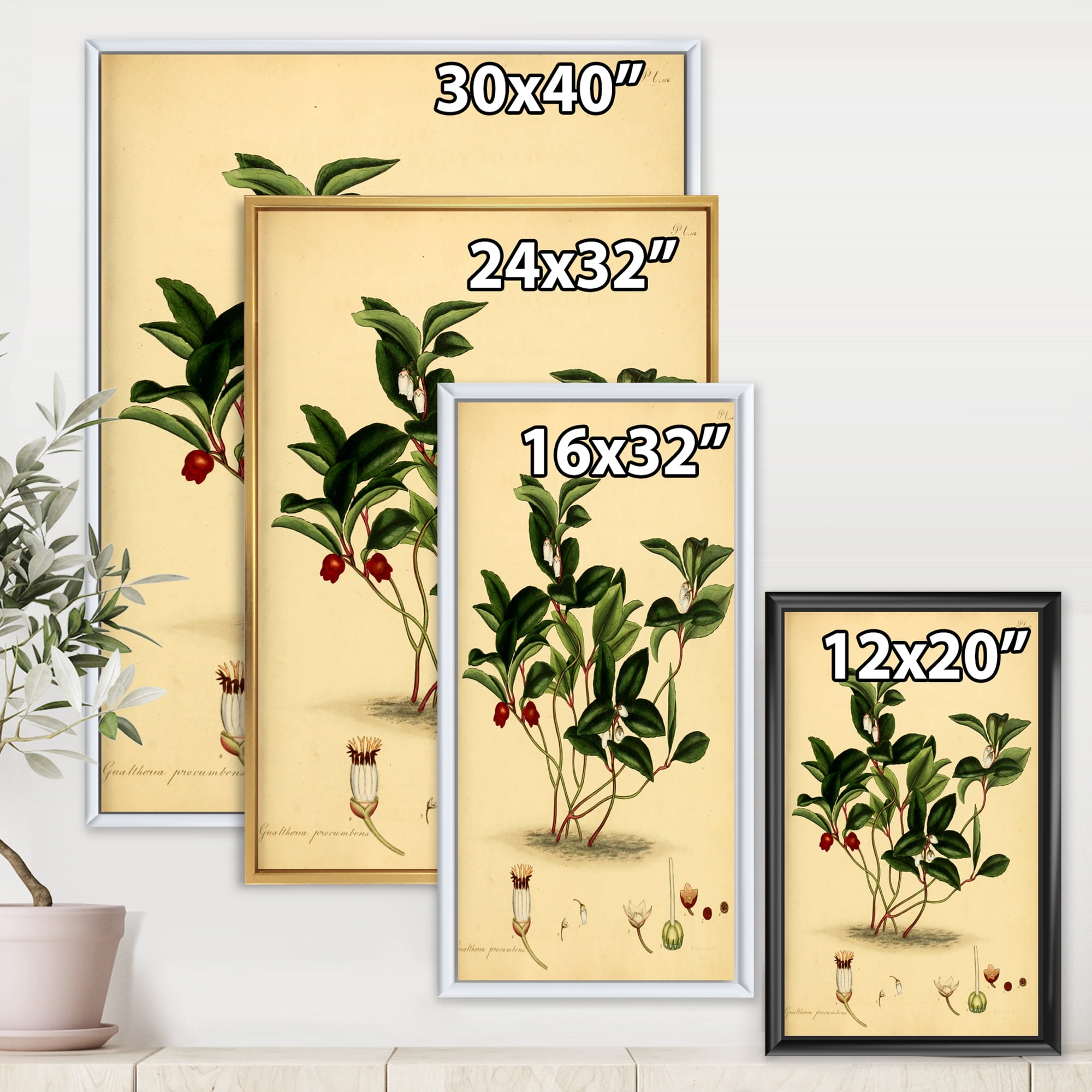 Designart 'Ancient Plant Life III' Traditional Framed Canvas Wall Art Print