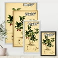 thumbnail image 4 of Designart 'Ancient Plant Life III' Traditional Framed Canvas Wall Art Print, 4 of 5