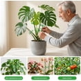 thumbnail image 6 of 16-Pack Plant Stem Support Set for Indoor Plants, Climbing Houseplant Stem Supports with 4 Sizes Reusable Clips for Monstera, Orchid, and Pothos, 6 of 7