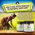 thumbnail image 2 of Soultanicals Sprout-Rice Vitamin Butta Shampoo, 8 oz., Damaged, Cleansing, 2 of 8