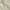 Olive, variant on Nourison Jubilant Damask Grey 5'3" x 7'3" Area Rug, (5x7)