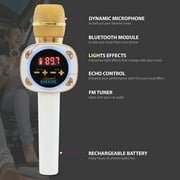 Singing Machine Official Carpool Mic TikTok