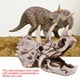 thumbnail image 4 of Modelo de calavera de Triceratops simulado-artesanía decorativa para el hogar y la Oficina, 4 of 10