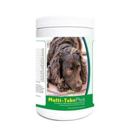 UPC: 0840235176206 | Healthy Breeds 840235176206 American Water Spaniel Multi-Tabs Plus Chewable Tablets – 365 Count