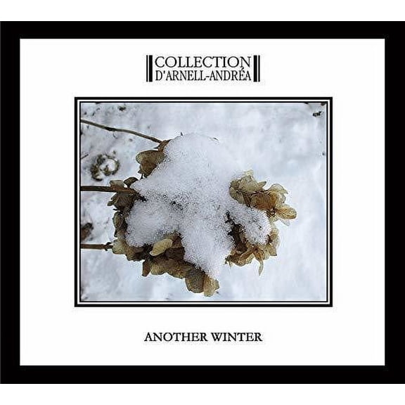 Another Winter (CD)