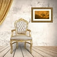 thumbnail image 3 of Fan, John 24x15 Gold Ornate Wood Framed with Double Matting Museum Art Print Titled - Garden of Eden, 3 of 4